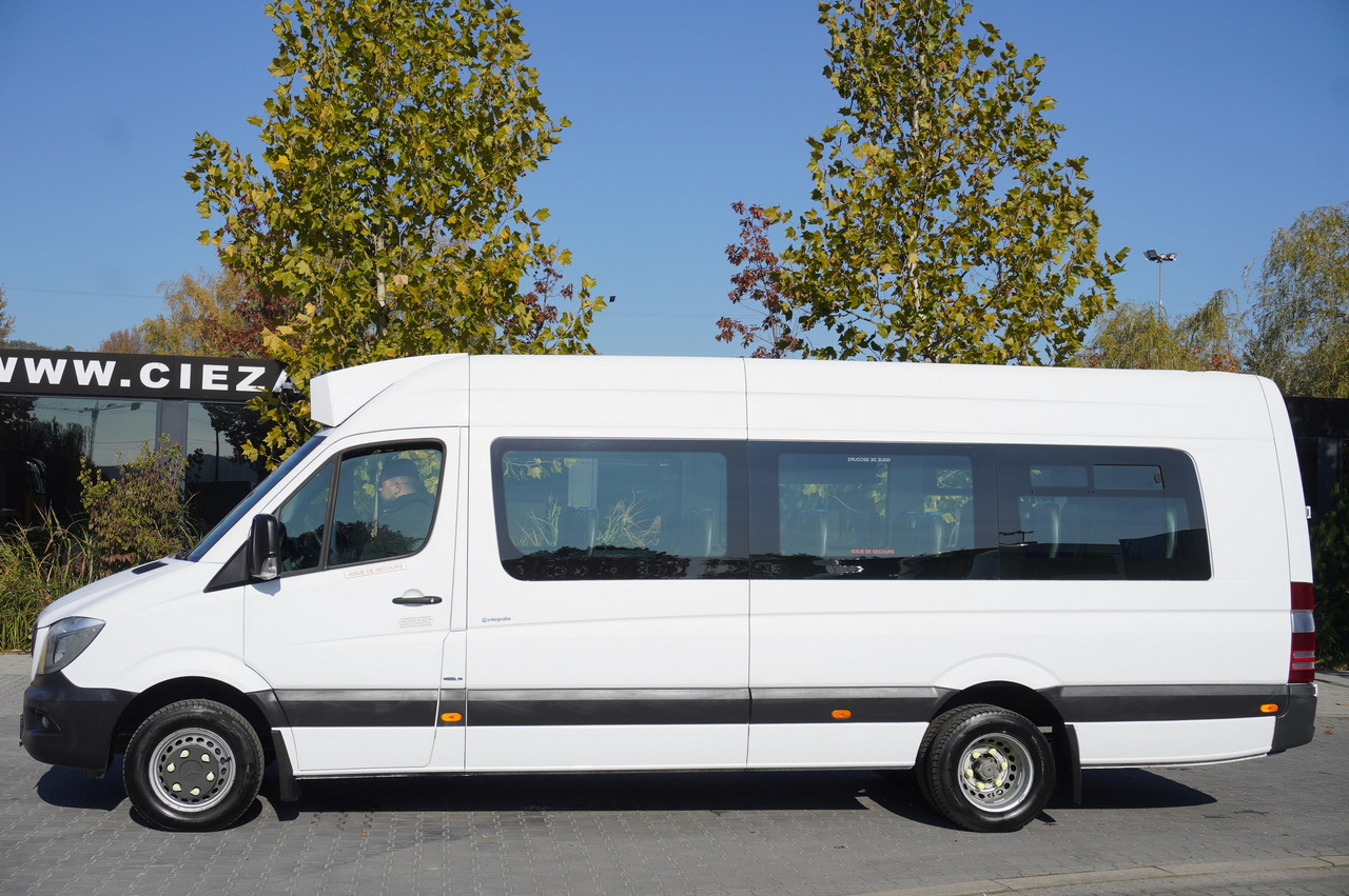 אוטובוס בית ספר Mercedes-Benz Sprinter 516 CDI / School bus / 23 seats / automatic: תמונה 7