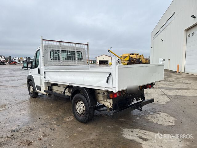2015 Fiat Ducato Maxi 130 Multijet 4x2 Camion Benne Dump Truck: Light Duty - מזהיר: תמונה 3 2015 Fiat Ducato Maxi 130 Multijet 4x2 Camion Benne Dump Truck: Light Duty - מזהיר: תמונה 3