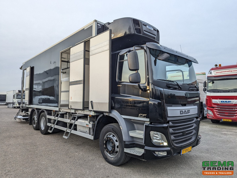 DAF CF 280 FAN 6x2/4 DagCab Euro6 - Koel-VriesBak 7.9m + Carrier Supra 1150MT + Laadklep 2000kg - 10/2025APK - משאית קירור: תמונה 3 DAF CF 280 FAN 6x2/4 DagCab Euro6 - Koel-VriesBak 7.9m + Carrier Supra 1150MT + Laadklep 2000kg - 10/2025APK - משאית קירור: תמונה 3