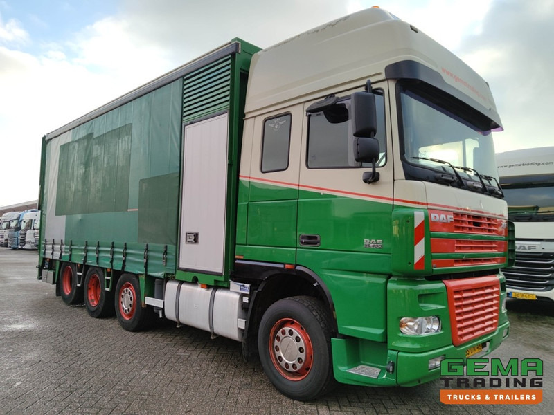 DAF FAK XF95.430 8x2 Super SuperSpaceCab Euro3 - CurtainSider 7.31m + Ramp 16T - MachineTransporter - 6 Persons (V558) - משאית הובלה אוטומטית: תמונה 3 DAF FAK XF95.430 8x2 Super SuperSpaceCab Euro3 - CurtainSider 7.31m + Ramp 16T - MachineTransporter - 6 Persons (V558) - משאית הובלה אוטומטית: תמונה 3