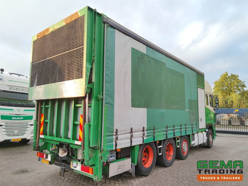 DAF FAK XF95.430 8x2 SuperSpaceCab Euro3 - CurtainSider 7.31m + Ramp 16T - MachineTransporter - 6 Persons (V558) - משאית הובלה אוטומטית: תמונה 4 DAF FAK XF95.430 8x2 SuperSpaceCab Euro3 - CurtainSider 7.31m + Ramp 16T - MachineTransporter - 6 Persons (V558) - משאית הובלה אוטומטית: תמונה 4