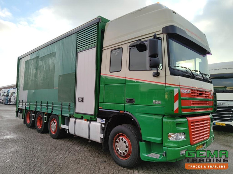 DAF FAK XF95.430 8x2 SuperSpaceCab Euro3 - CurtainSider 7.31m + Ramp 16T - MachineTransporter - 6 Persons (V558) - משאית הובלה אוטומטית: תמונה 3 DAF FAK XF95.430 8x2 SuperSpaceCab Euro3 - CurtainSider 7.31m + Ramp 16T - MachineTransporter - 6 Persons (V558) - משאית הובלה אוטומטית: תמונה 3