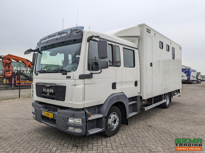 MAN TGL 12.180 4x2 DoKa 7 pers. Euro5 EEV - Paardenwagen 2-Paards - 147.000km! - MARGE - משאית סוסים: תמונה 3 MAN TGL 12.180 4x2 DoKa 7 pers. Euro5 EEV - Paardenwagen 2-Paards - 147.000km! - MARGE - משאית סוסים: תמונה 3