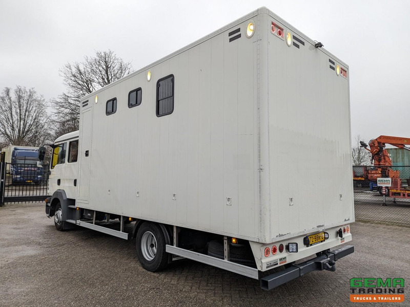 MAN TGL 12.180 4x2 DoKa 7 pers. Euro5 EEV - Paardenwagen 2-Paards - 147.000km! - MARGE - משאית סוסים: תמונה 4 MAN TGL 12.180 4x2 DoKa 7 pers. Euro5 EEV - Paardenwagen 2-Paards - 147.000km! - MARGE - משאית סוסים: תמונה 4