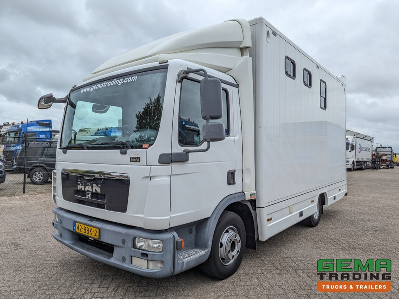 MAN TGL 12.250 4x2 Euro5 EEV RC HorseTruck - 2a3 Paards - 135.000km - MARGE (V821) - משאית סוסים: תמונה 2 MAN TGL 12.250 4x2 Euro5 EEV RC HorseTruck - 2a3 Paards - 135.000km - MARGE (V821) - משאית סוסים: תמונה 2