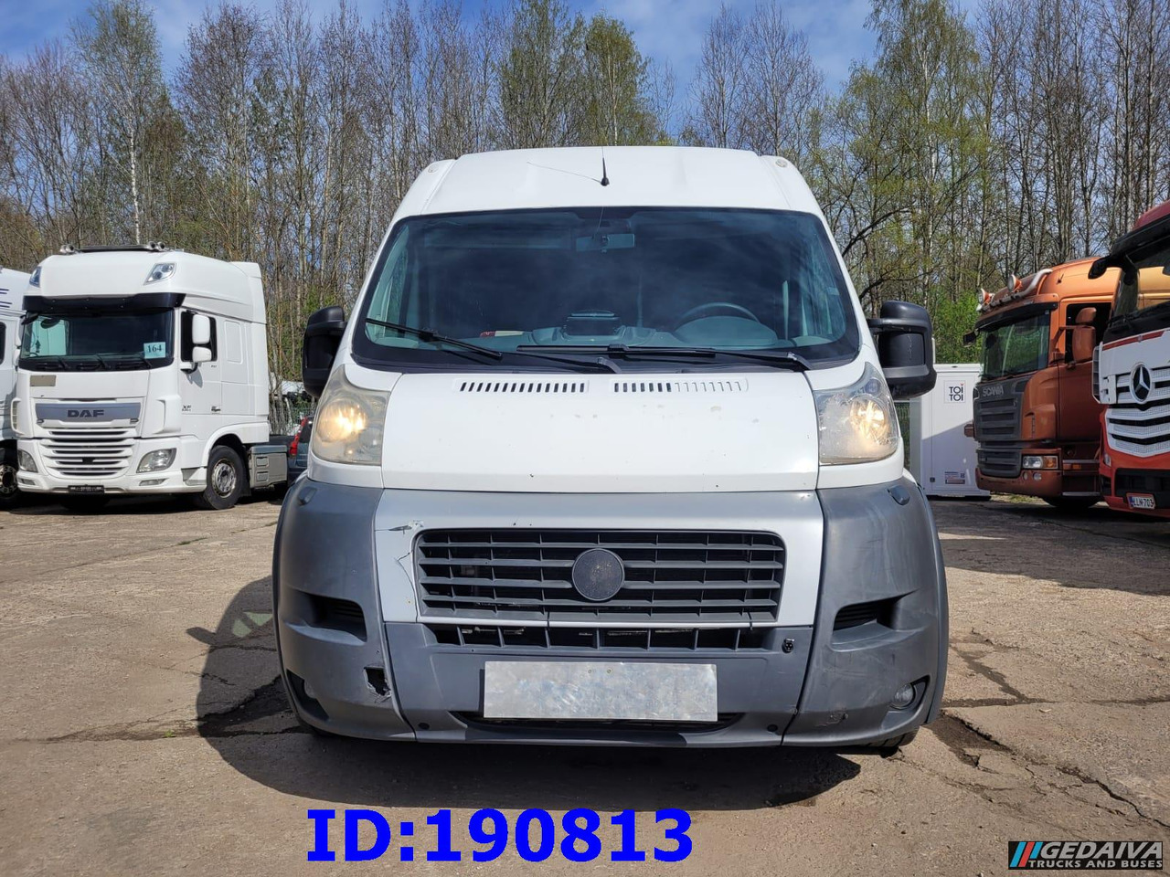 FIAT Ducato - VIP - 17 Seater - אוטובוס בין עירוני: תמונה 2 FIAT Ducato - VIP - 17 Seater - אוטובוס בין עירוני: תמונה 2