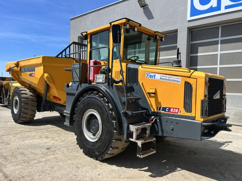 מסיר פסולת מפרקי Bergmann 5025 HK / C828s (110868): תמונה 9
