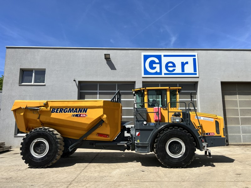 מסיר פסולת מפרקי Bergmann 5025 HK / C828s (110868): תמונה 8