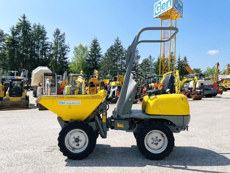 Neuson 1001 (3631) - מיני מסיר פסולת: תמונה 1 Neuson 1001 (3631) - מיני מסיר פסולת: תמונה 1