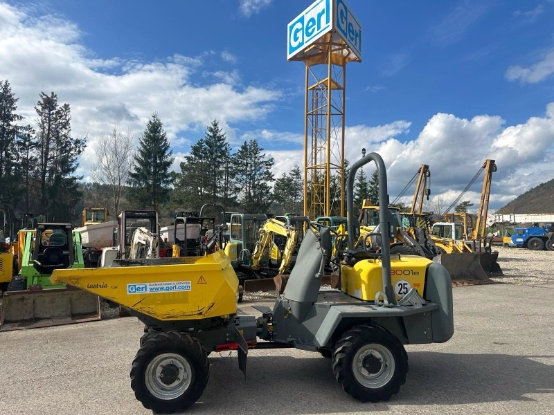Neuson 3001 (3861) - מיני מסיר פסולת: תמונה 1 Neuson 3001 (3861) - מיני מסיר פסולת: תמונה 1