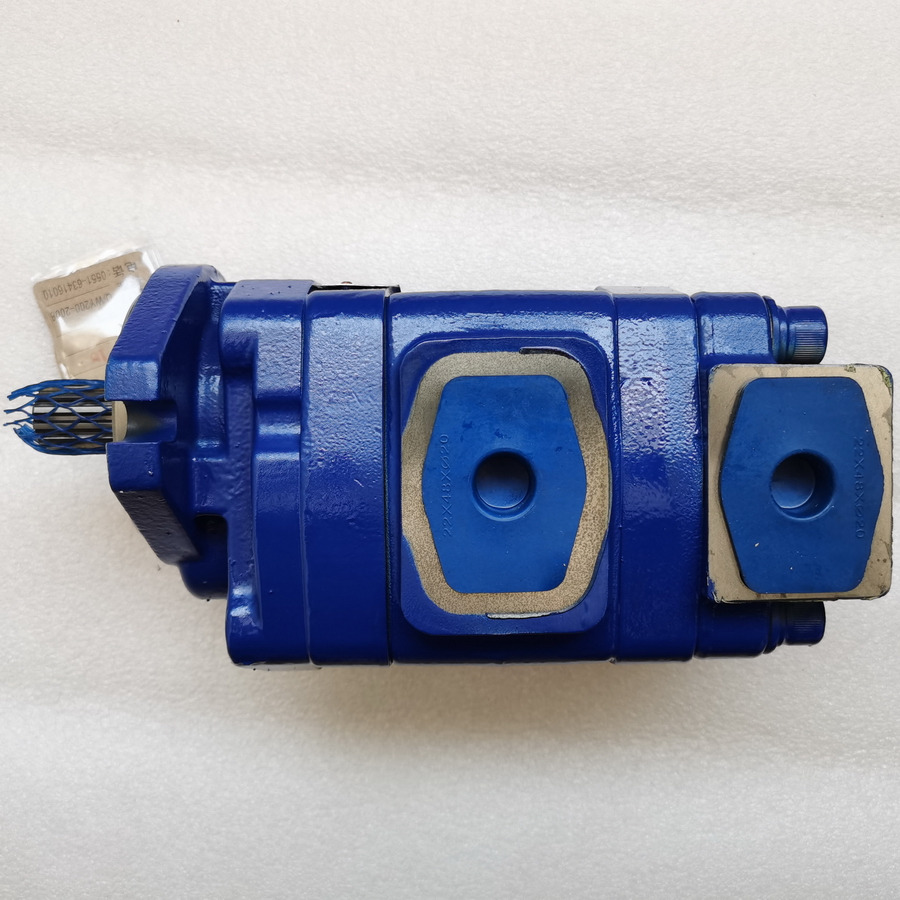 QINGDAO PROMISING Hydraulic Pump CBTLZTX-G10/G10-AF1Φ for China Wheel Loader Spare Parts - מעמיס גלגלים: תמונה 3 QINGDAO PROMISING Hydraulic Pump CBTLZTX-G10/G10-AF1Φ for China Wheel Loader Spare Parts - מעמיס גלגלים: תמונה 3