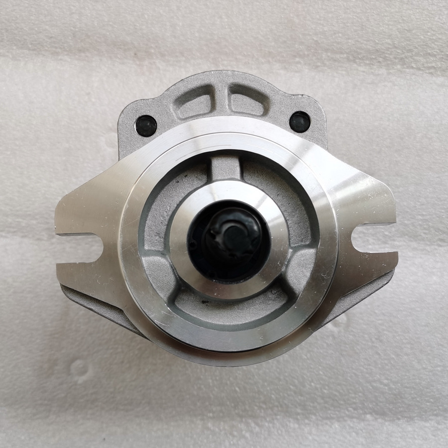 QINGDAO PROMISING Hydraulic Pump CBWA-F314-AL5Φ9 - משאבה הידרולית עבור מעמיס גלגלים: תמונה 3 QINGDAO PROMISING Hydraulic Pump CBWA-F314-AL5Φ9 - משאבה הידרולית עבור מעמיס גלגלים: תמונה 3