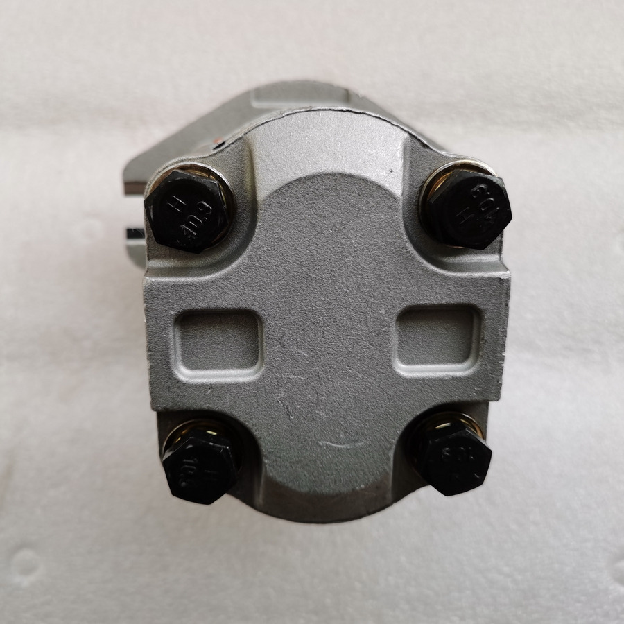 הַחכָּרָה QINGDAO PROMISING Hydraulic Pump CBWA-F318-AT4Φ9 QINGDAO PROMISING Hydraulic Pump CBWA-F318-AT4Φ9: תמונה 6