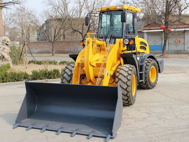 חָדָשׁ מעמיס גלגלים Qingdao Promising China 2.0T Front Wheel Loader ZL20F with CE: תמונה 7