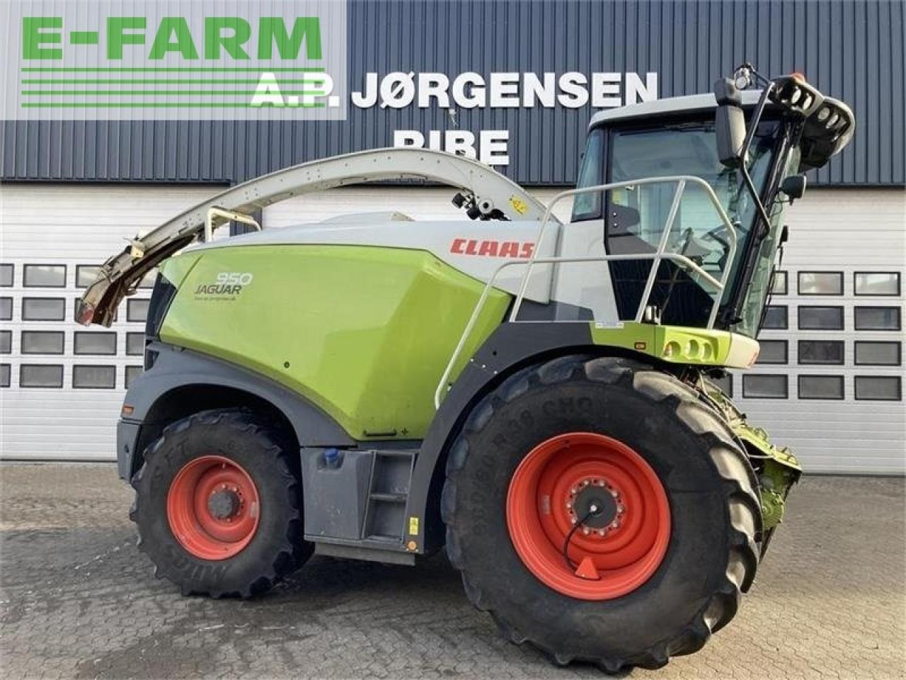 CLAAS jaguar 950. godt udstyret - צרופת מקצרת מספוא: תמונה 1 CLAAS jaguar 950. godt udstyret - צרופת מקצרת מספוא: תמונה 1