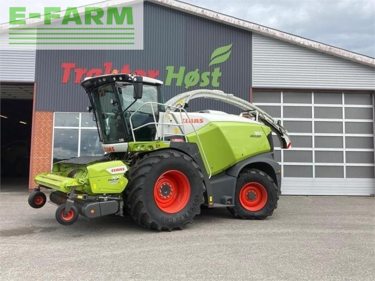 CLAAS jaguar 950 - צרופת מקצרת מספוא: תמונה 1 CLAAS jaguar 950 - צרופת מקצרת מספוא: תמונה 1