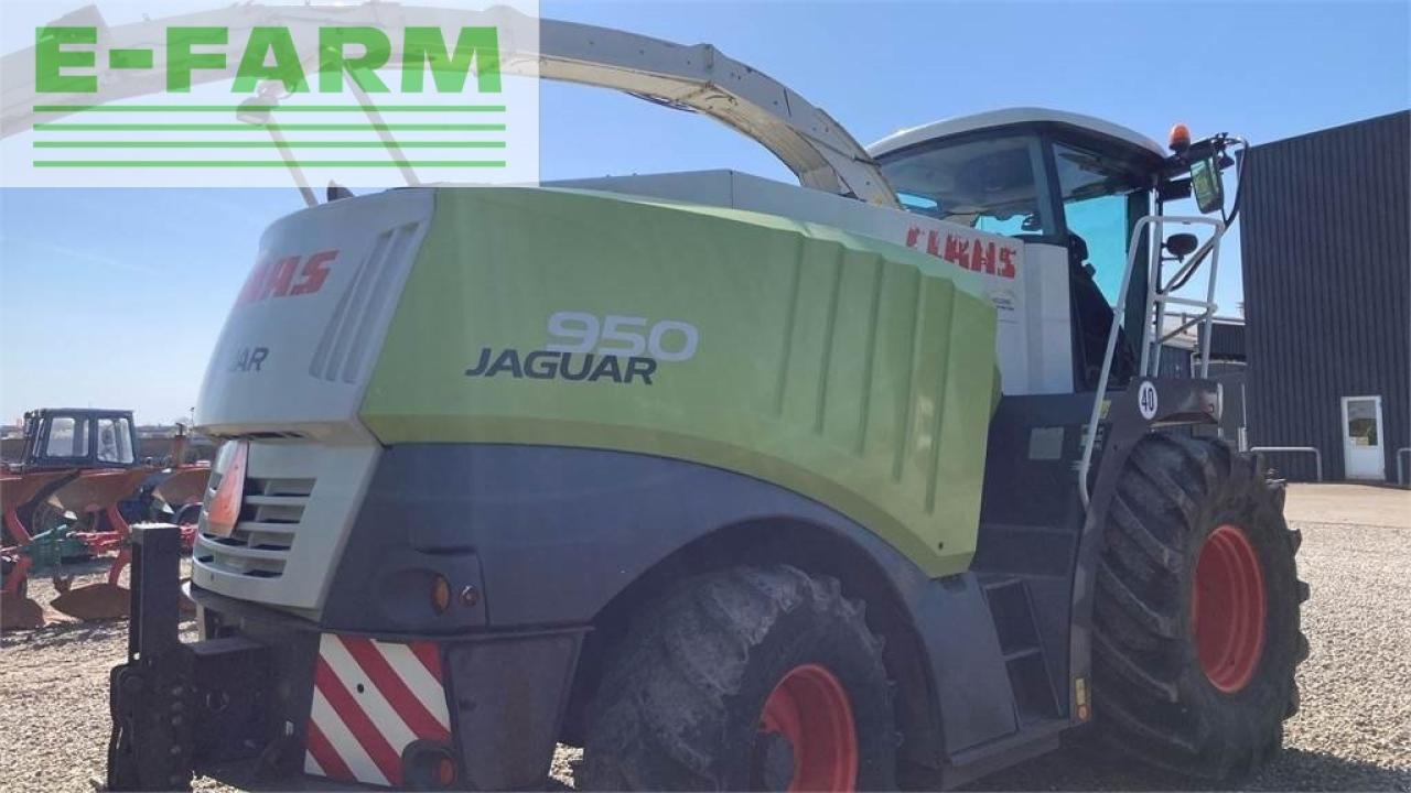 CLAAS jaguar 950 - צרופת מקצרת מספוא: תמונה 3 CLAAS jaguar 950 - צרופת מקצרת מספוא: תמונה 3