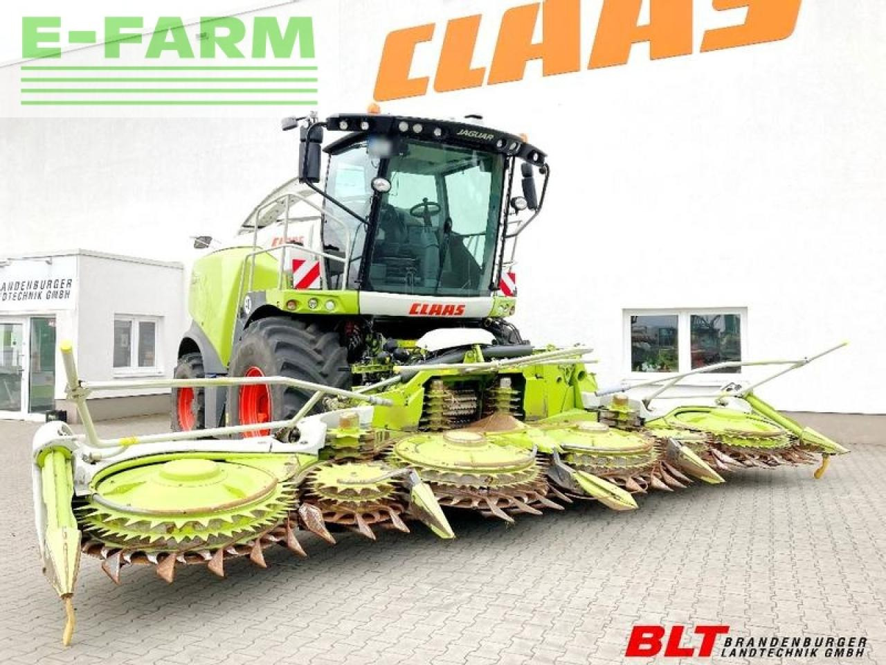 CLAAS jaguar 950 - מקצרת מספוא: תמונה 1 CLAAS jaguar 950 - מקצרת מספוא: תמונה 1