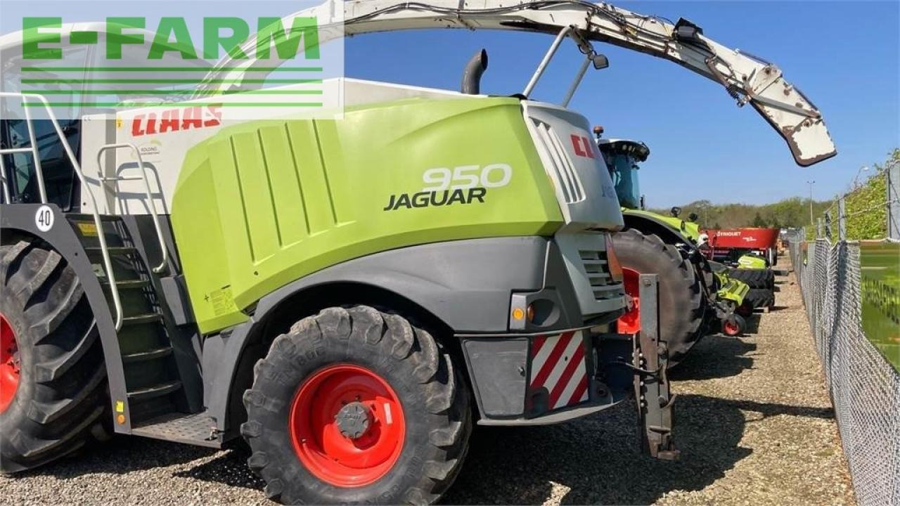 CLAAS jaguar 950 - צרופת מקצרת מספוא: תמונה 5 CLAAS jaguar 950 - צרופת מקצרת מספוא: תמונה 5