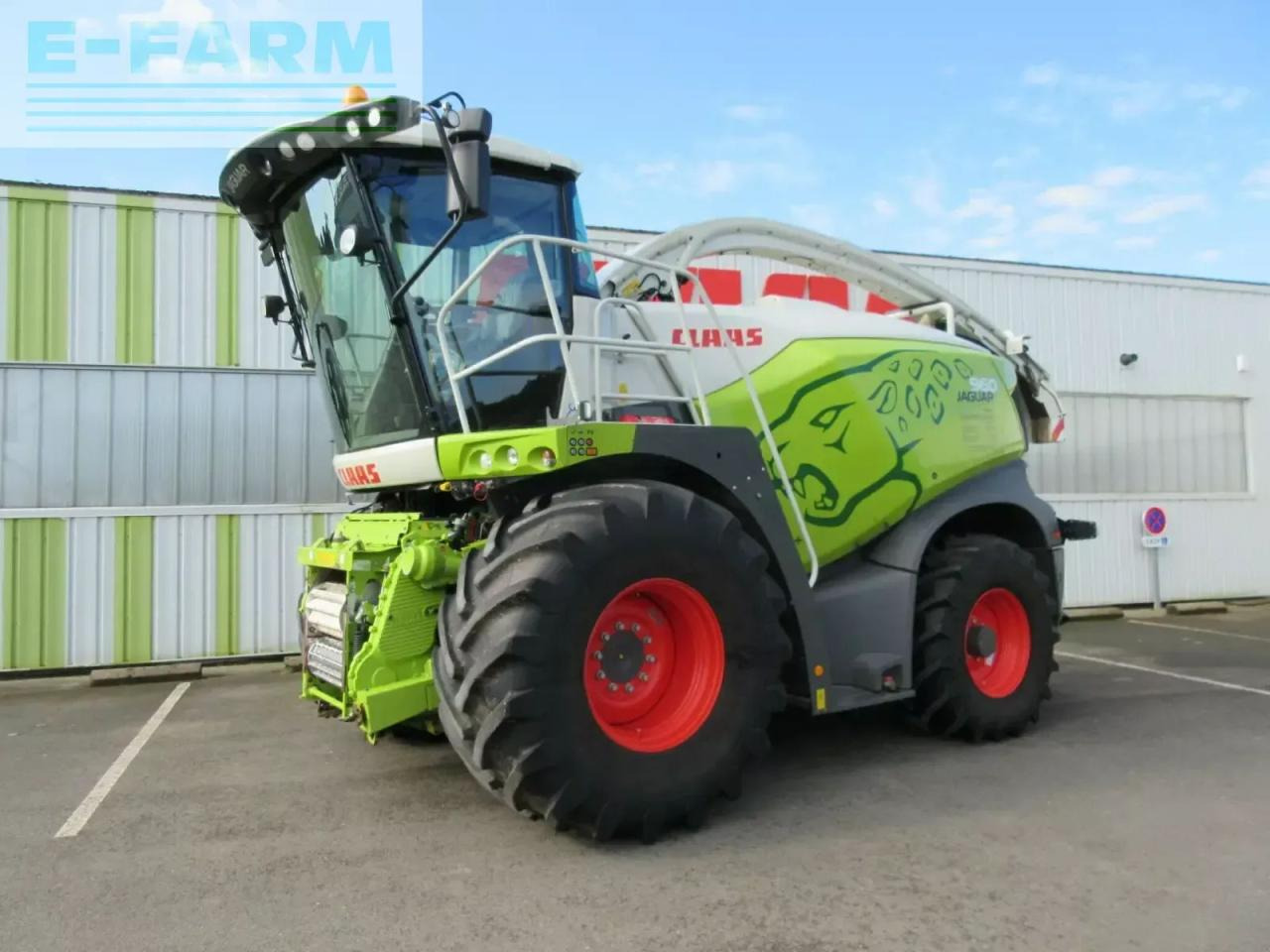 CLAAS jaguar 960 - s5 tradition - מקצרת מספוא: תמונה 1 CLAAS jaguar 960 - s5 tradition - מקצרת מספוא: תמונה 1
