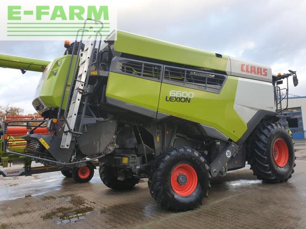 CLAAS lexion 6600 +vario 930 - מקצרת קומבינה: תמונה 3 CLAAS lexion 6600 +vario 930 - מקצרת קומבינה: תמונה 3