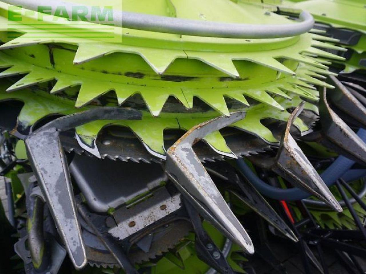 CLAAS orbis 750 - צרופת מקצרת מספוא: תמונה 5 CLAAS orbis 750 - צרופת מקצרת מספוא: תמונה 5