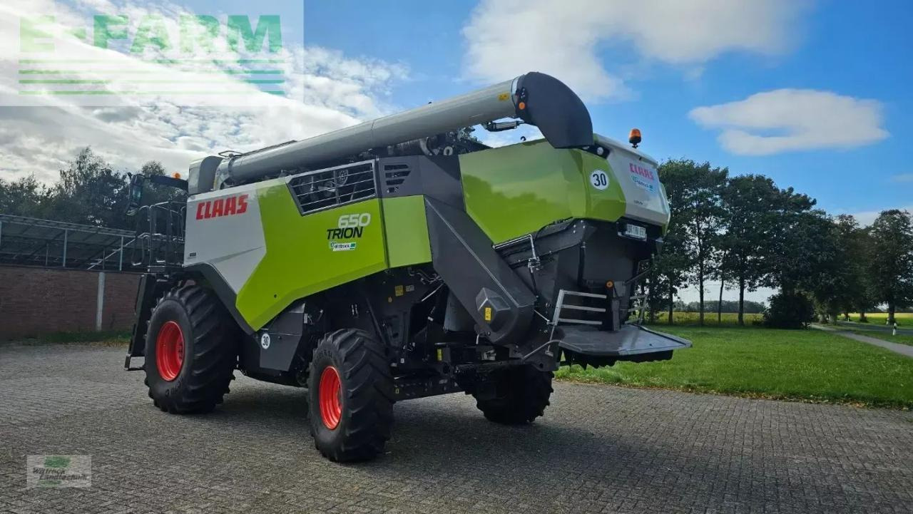 CLAAS trion 650 - מקצרת קומבינה: תמונה 3 CLAAS trion 650 - מקצרת קומבינה: תמונה 3