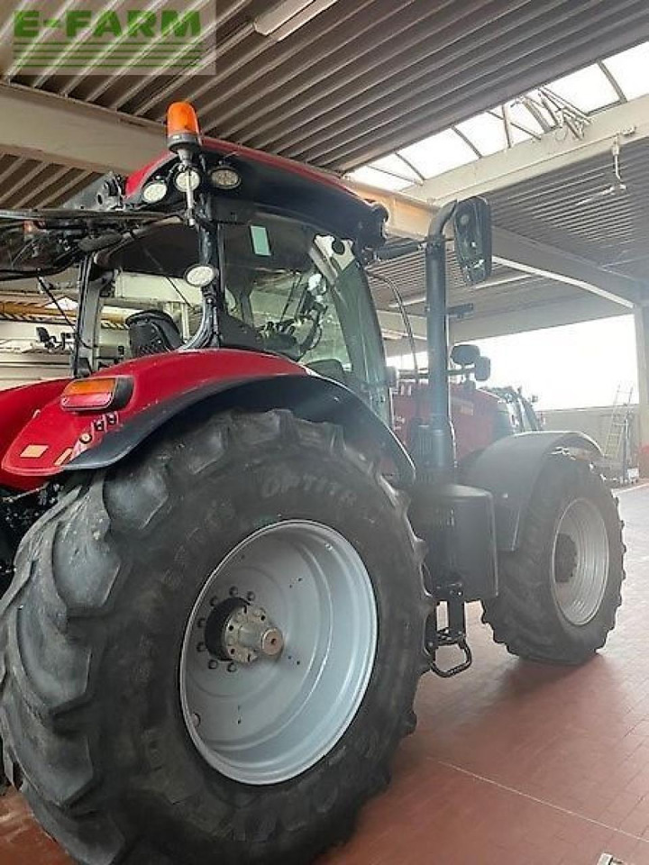 Case-IH puma 240 cvx CVX - טרקטור חקלאי: תמונה 3 Case-IH puma 240 cvx CVX - טרקטור חקלאי: תמונה 3