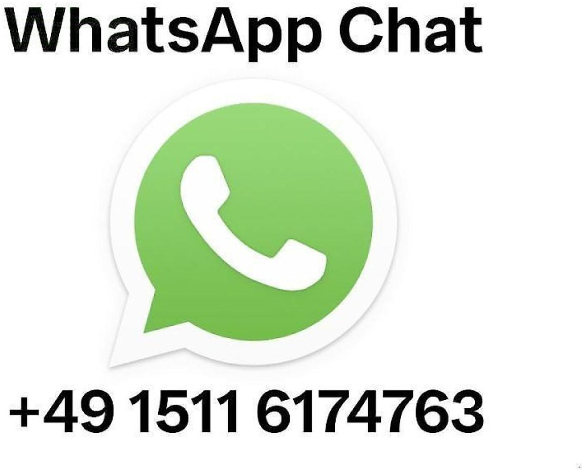 Giant g2200e - מיני מחפר: תמונה 2 Giant g2200e - מיני מחפר: תמונה 2