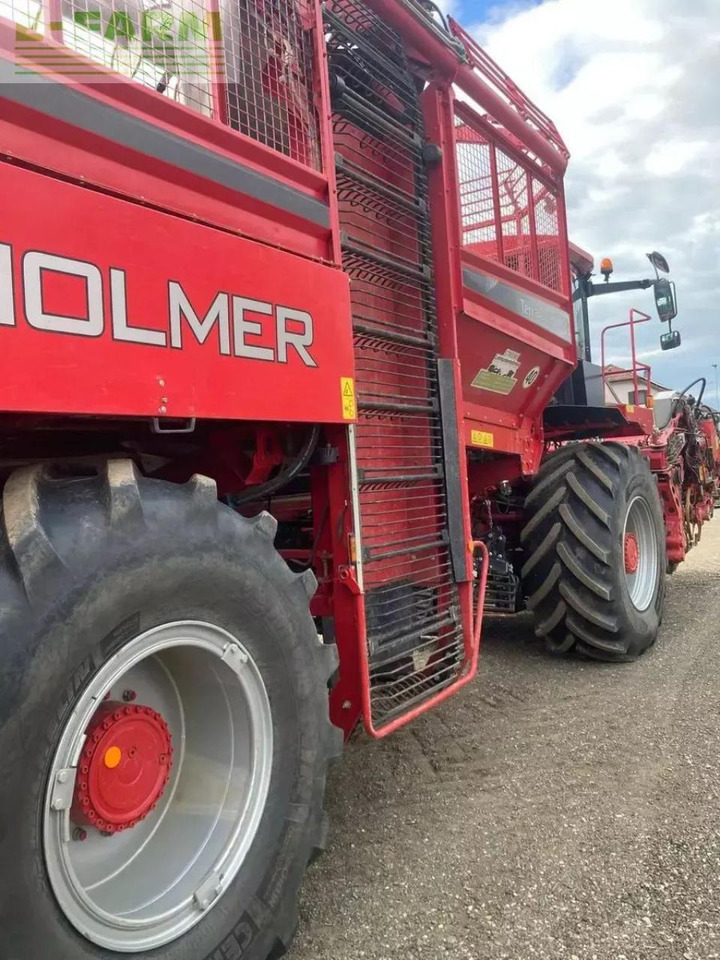 Holmer t4-30 - מקצרת סלק: תמונה 3 Holmer t4-30 - מקצרת סלק: תמונה 3