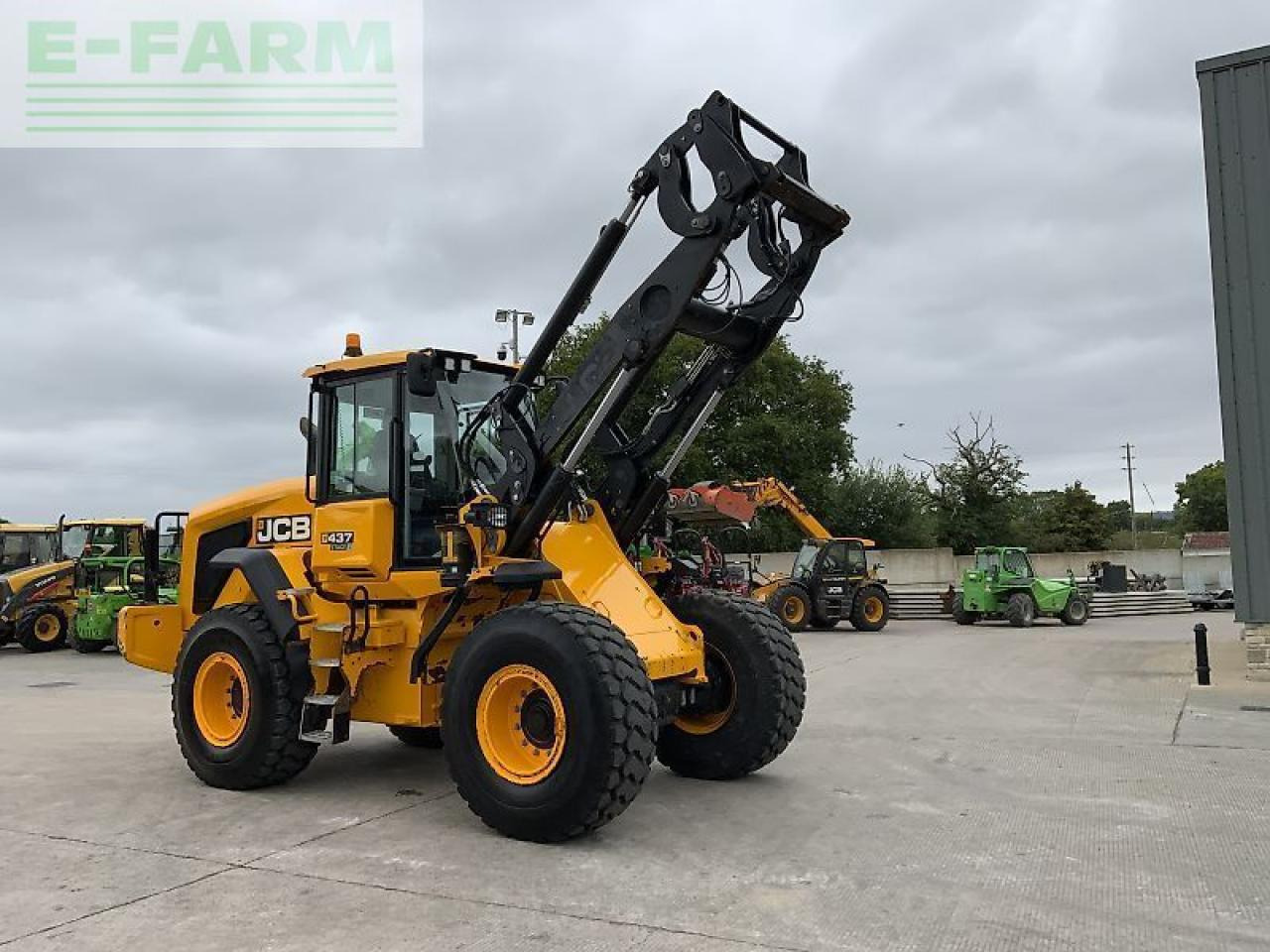 מיני מחפר JCB 437 wheeled loading shovel (st23075): תמונה 14