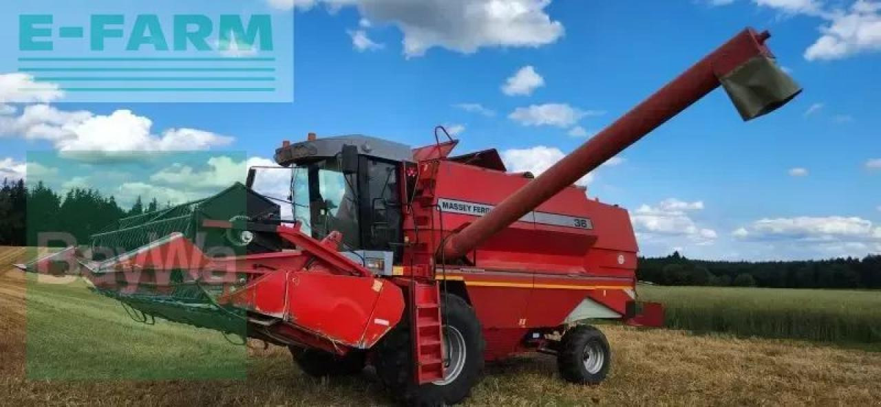 Massey Ferguson mf 36 al - מקצרת קומבינה: תמונה 2 Massey Ferguson mf 36 al - מקצרת קומבינה: תמונה 2