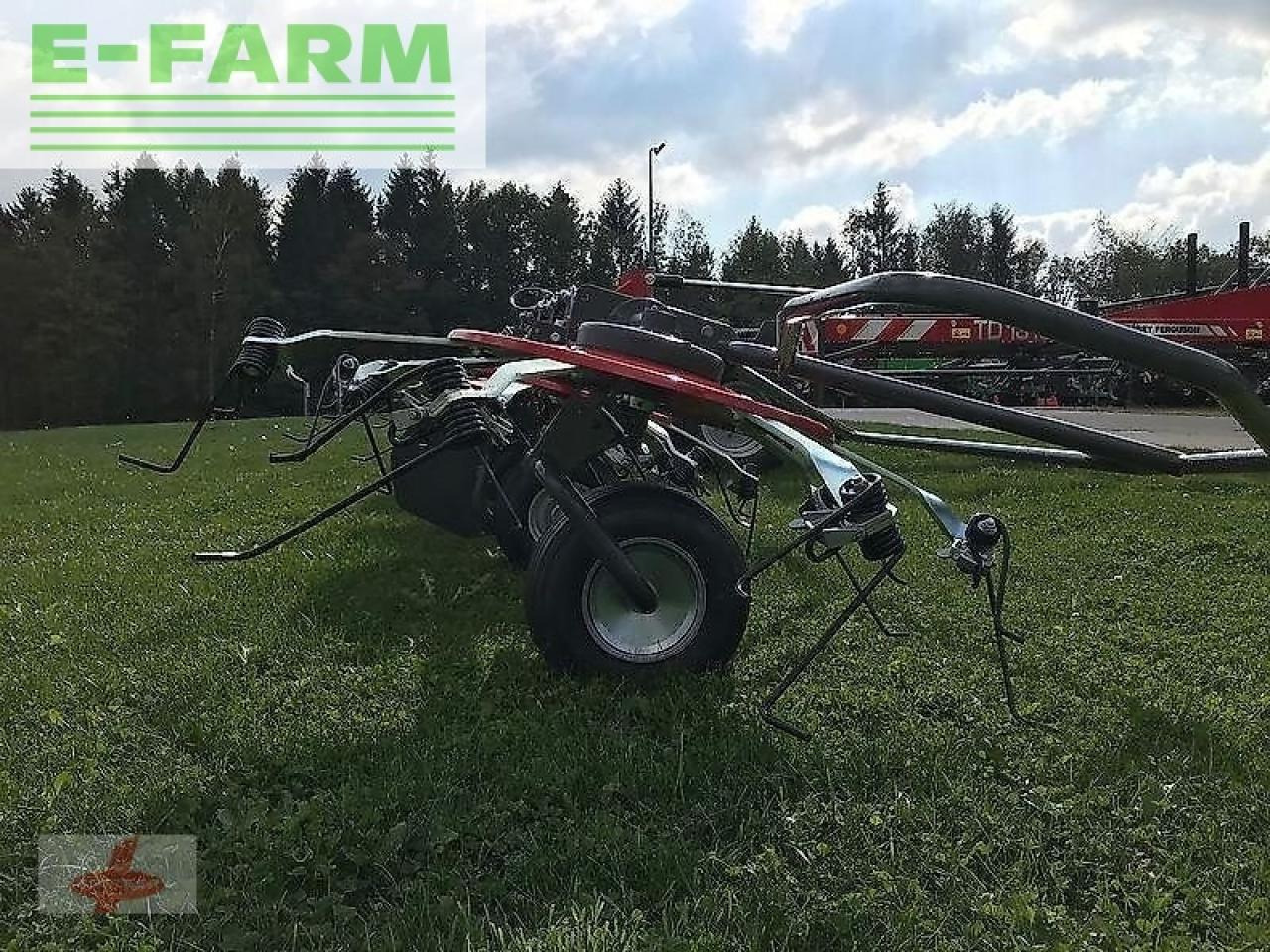 Massey Ferguson mf td 1310 x trc / lotus 1250 profi - גורף/ מגרפה: תמונה 5 Massey Ferguson mf td 1310 x trc / lotus 1250 profi - גורף/ מגרפה: תמונה 5