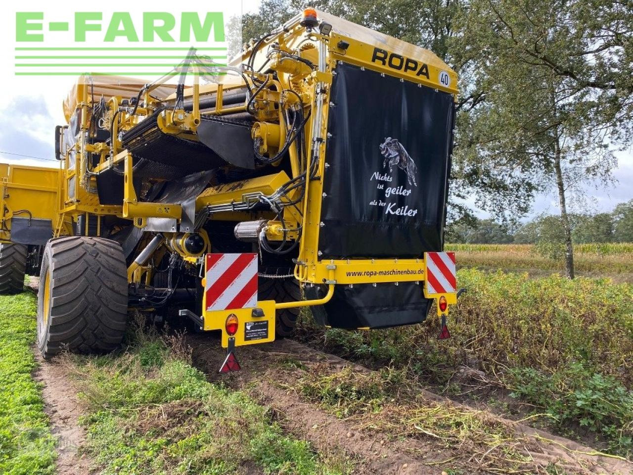 Ropa keiler ii - מקצרת תפוחי אדמה: תמונה 1 Ropa keiler ii - מקצרת תפוחי אדמה: תמונה 1