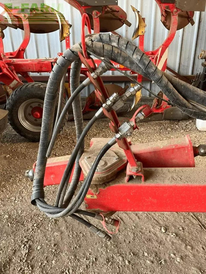 Vogel&Noot dechaumeur - קלטרת: תמונה 2 Vogel&Noot dechaumeur - קלטרת: תמונה 2