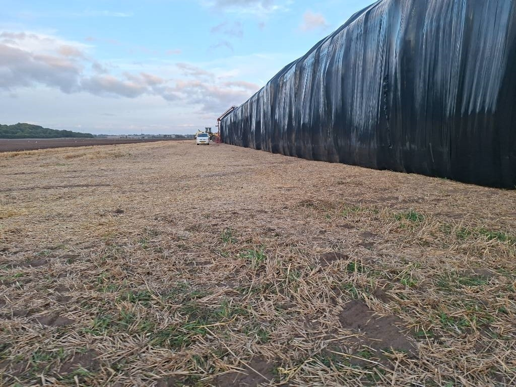 Pomi Wrap 7 - עוטף צרור: תמונה 4 Pomi Wrap 7 - עוטף צרור: תמונה 4