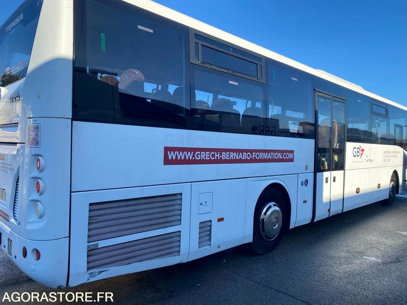 Autocar TEMSA auto école - 2016 - 195000 Kms - אוטובוס בית ספר: תמונה 3 Autocar TEMSA auto école - 2016 - 195000 Kms - אוטובוס בית ספר: תמונה 3