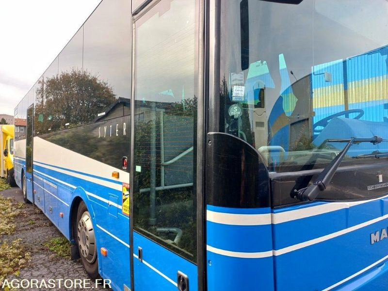 CAR MAN SYTER 919-AMP-51 - אוטובוס בית ספר: תמונה 3 CAR MAN SYTER 919-AMP-51 - אוטובוס בית ספר: תמונה 3