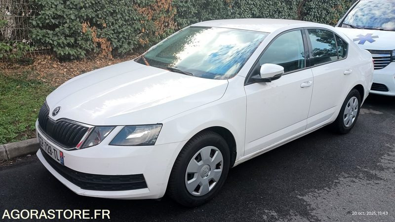EP-729-TL - Non Roulant - SKODA OCTAVIA - VP - 349 390 Kms - מכונית: תמונה 1 EP-729-TL - Non Roulant - SKODA OCTAVIA - VP - 349 390 Kms - מכונית: תמונה 1