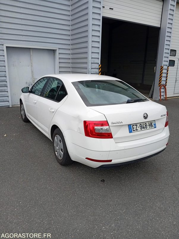 EZ-948-HK - Roulant - SKODA OCTAVIA - VP - 431 000 Kms - מכונית: תמונה 4 EZ-948-HK - Roulant - SKODA OCTAVIA - VP - 431 000 Kms - מכונית: תמונה 4