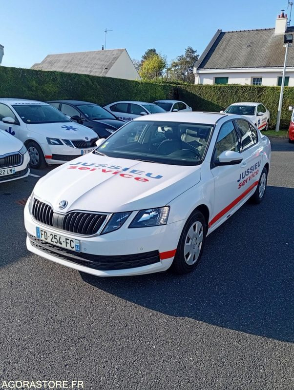 FD-254-FC - Non Roulant - SKODA OCTAVIA - VP - 387 000 Kms - מכונית: תמונה 1 FD-254-FC - Non Roulant - SKODA OCTAVIA - VP - 387 000 Kms - מכונית: תמונה 1