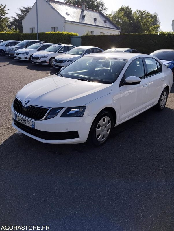 FD-256-FC - Roulant - SKODA OCTAVIA - VP - 417 000 Kms - מכונית: תמונה 2 FD-256-FC - Roulant - SKODA OCTAVIA - VP - 417 000 Kms - מכונית: תמונה 2