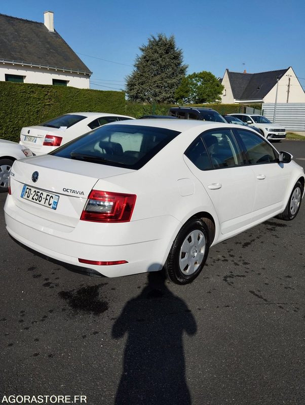 FD-256-FC - Roulant - SKODA OCTAVIA - VP - 417 000 Kms - מכונית: תמונה 4 FD-256-FC - Roulant - SKODA OCTAVIA - VP - 417 000 Kms - מכונית: תמונה 4