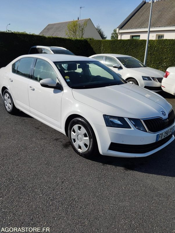 FD-256-FC - Roulant - SKODA OCTAVIA - VP - 417 000 Kms - מכונית: תמונה 1 FD-256-FC - Roulant - SKODA OCTAVIA - VP - 417 000 Kms - מכונית: תמונה 1
