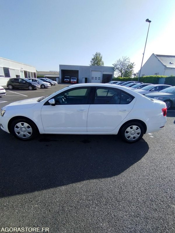 FD-256-FC - Roulant - SKODA OCTAVIA - VP - 417 000 Kms - מכונית: תמונה 3 FD-256-FC - Roulant - SKODA OCTAVIA - VP - 417 000 Kms - מכונית: תמונה 3