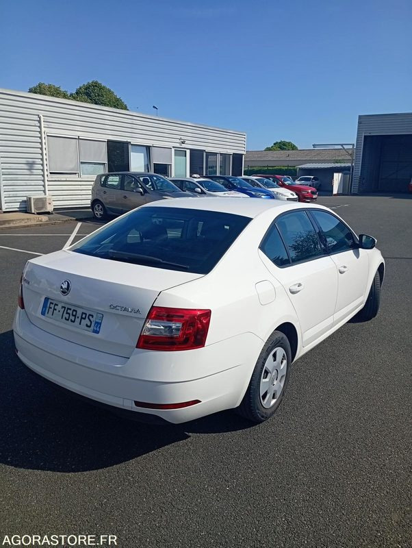FF-759-PS - Roulant - SKODA OCTAVIA - VP - 394 000 KS - מכונית: תמונה 3 FF-759-PS - Roulant - SKODA OCTAVIA - VP - 394 000 KS - מכונית: תמונה 3