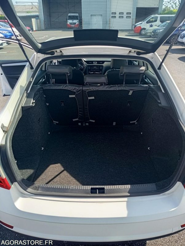 FF-759-PS - Roulant - SKODA OCTAVIA - VP - 394 000 KS - מכונית: תמונה 5 FF-759-PS - Roulant - SKODA OCTAVIA - VP - 394 000 KS - מכונית: תמונה 5