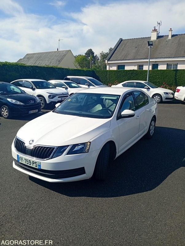 FF-759-PS - Roulant - SKODA OCTAVIA - VP - 394 000 KS - מכונית: תמונה 1 FF-759-PS - Roulant - SKODA OCTAVIA - VP - 394 000 KS - מכונית: תמונה 1