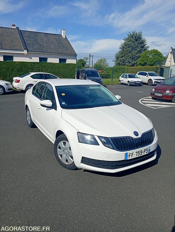 FF-759-PS - Roulant - SKODA OCTAVIA - VP - 394 000 KS - מכונית: תמונה 2 FF-759-PS - Roulant - SKODA OCTAVIA - VP - 394 000 KS - מכונית: תמונה 2