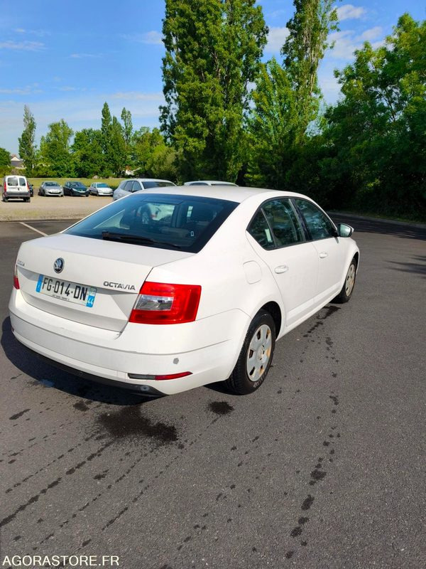 FG-014-DN - Roulant - SKODA OCTAVIA - VP - 354 084 Kms - מכונית: תמונה 4 FG-014-DN - Roulant - SKODA OCTAVIA - VP - 354 084 Kms - מכונית: תמונה 4